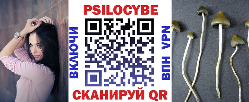 Псилоцибиновые грибы Cubensis  Волоколамск 